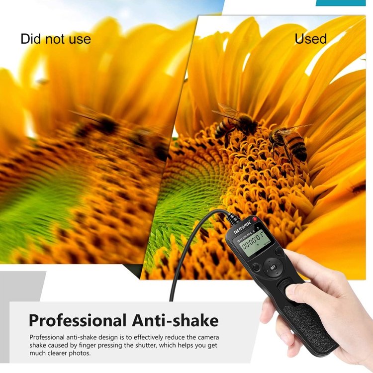 s rm 0141 5.jpg s rm 0141 5.jpg